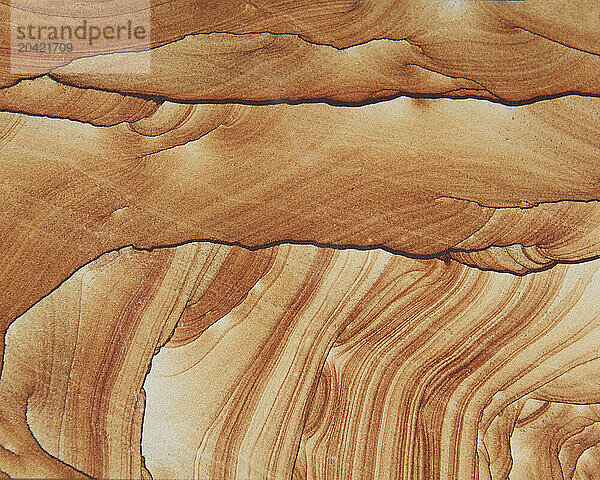 Sandstone creates wonderful shapes and designs  looking like abs