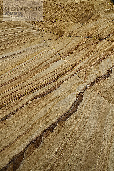 Sandstone creates wonderful shapes and designs  looking like abs