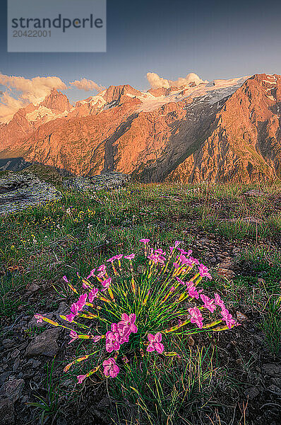 Meije Peak at Sunset on Plateau d'Emparis  Ecrins National Park