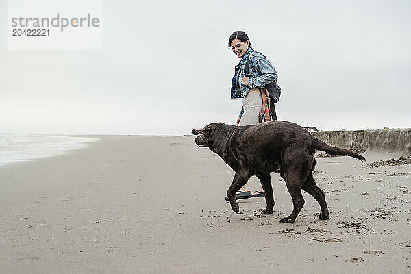 Woman walking an elderly Labrador dog on the beach on an autumn day