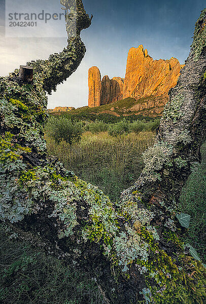 Mallos de Riglos Rock Formation at Dramatic Sunset  Almond Tree