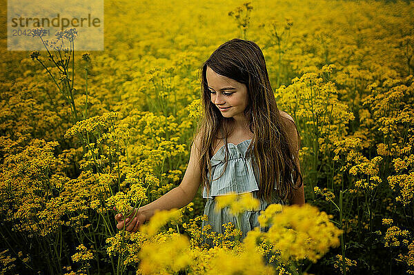 Beautiful young girl standing in field of yellow flowers blue sky