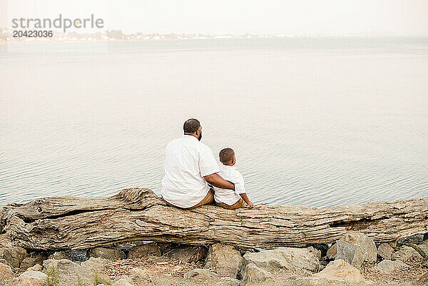 Father and son looking out at the water sitting on a log