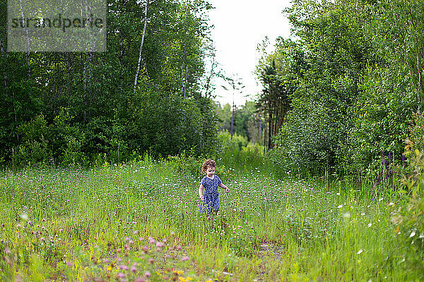 Toddler girl exploring in a field of flower