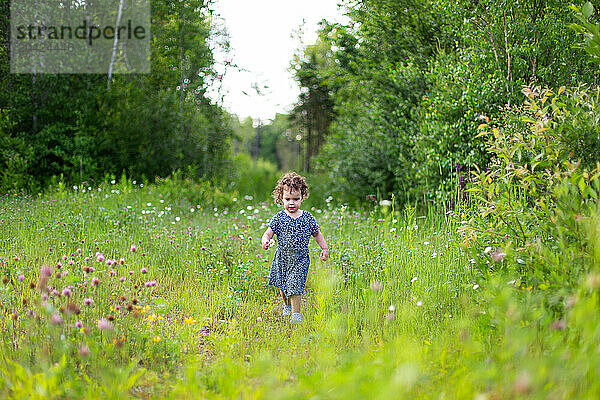 Toddler girl exploring in a field of flowers