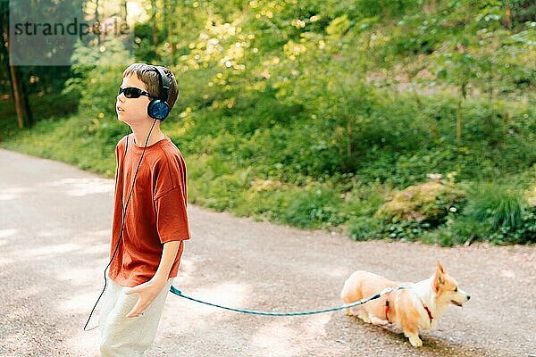 Teen boy walking a corgi dog in the park  busy with his own business