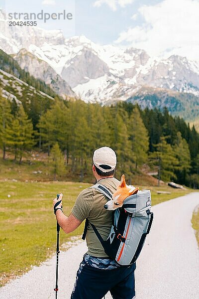 man carries a corgi dog in a backpack on his back in a mountain trek