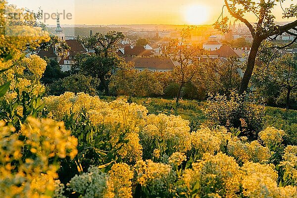 sun rises in the morning  beautiful start day in Prague in summer