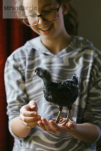 Black baby chick stands on hand of smiling tween girl in glasses