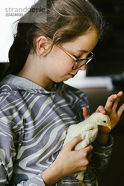 Girl in glasses gently pets the head of tiny chicken