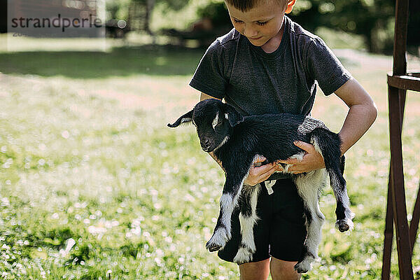 Child tenderly holding baby goat during spring day