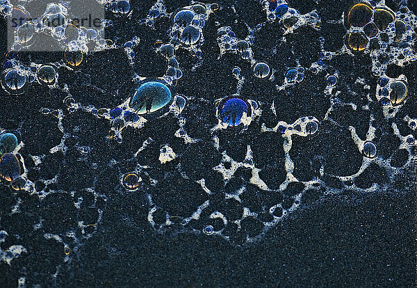 The shadows of three people are seen in beach bubbles in Foxton  New Zealand.