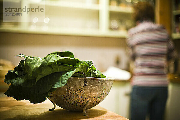 A colander filled with organic collard greens in a kitchen  Seattle WA.