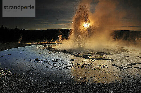 Sawmill Geyser erupting at sunset in Yellowstone National Park in Wyoming.