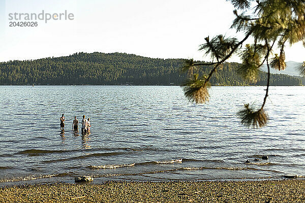 Four boys wade in Lake Coeur D'Alene during a hot summer day  Coeur D'Alene ID.