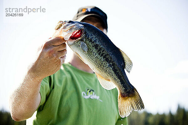 A man holds a small mouth bass in front of his face on Hayeden Lake.