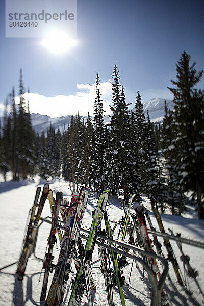 Skis all racked up at Alta Ski Resort.