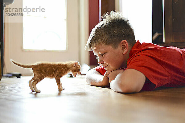 Boy lies on the floor  curiously watching a tiny orange kitten.