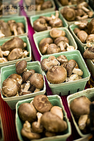 Organic mushrooms at farmer's market  Seattle  WA.