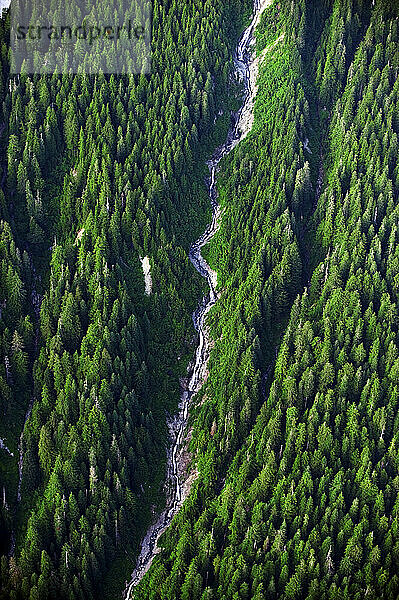 An arial view of a cascading waterfall surrounded by large trees near Squamish and Whistler in British Columbia Canada.