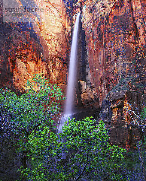 The rarely active Sineawana Falls pouring water into the Virgin River in Zion National Park  Utah.