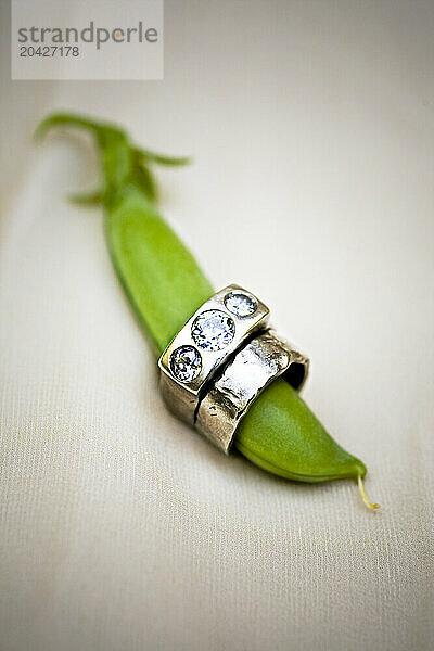 A diamond engagement ring and wedding ring encircle an organic home grown pea pod on an organic farm in Seattle  WA.