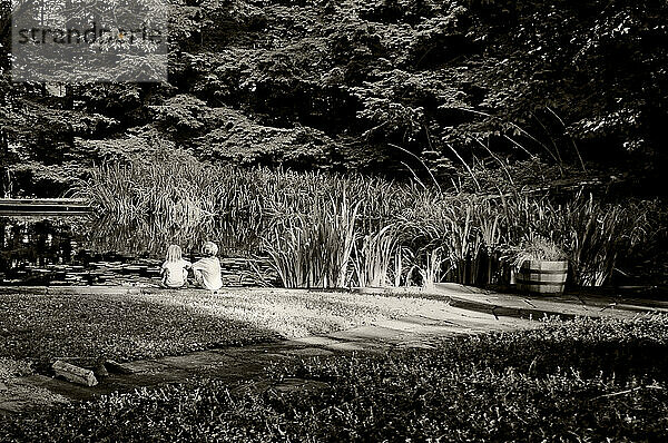 Young children sit next to a pond.