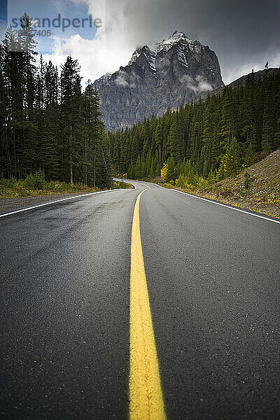 Low angle wet road with mountains in the background