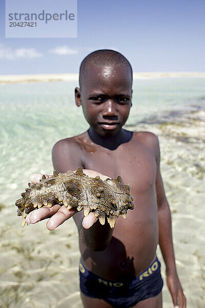 Portrait of boy standing on coastal beach and holding sea slug  Mozambique