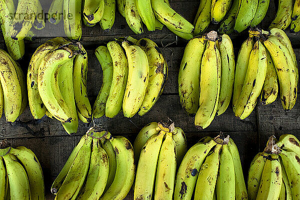 Repeating rows of fresh bananas  shot from overhead.