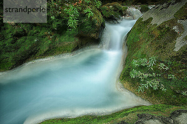 Urederra source of river in Sierra de Urbasa. Urbasa and Andia Natural Park