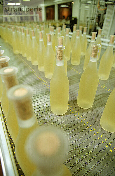 Wine bottling facility.