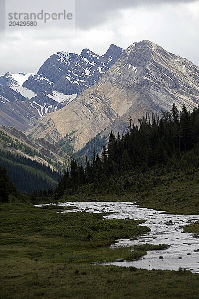 A view of high peaks on Banff NP Sawback Ridge Trail on 7/22/2010