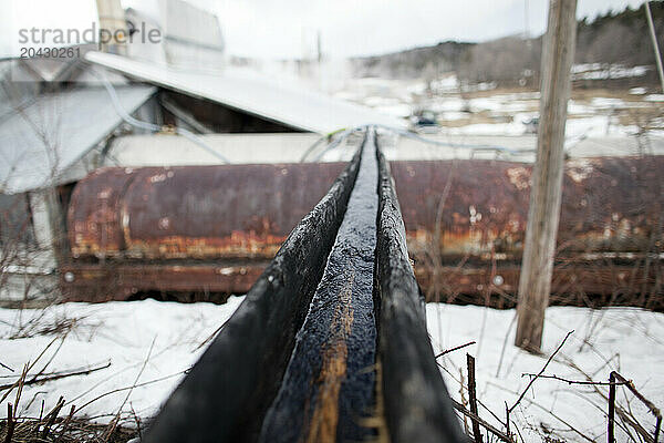 Sap flowing in pipe