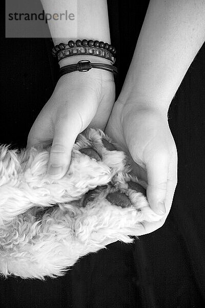 Young adult holding the paws of his dog.