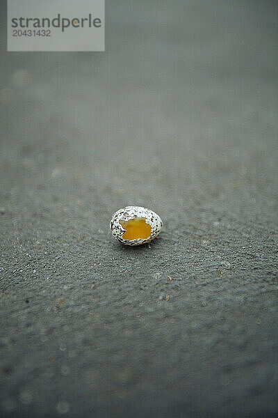 A bird's broken egg  with yolk visible  on the road