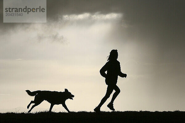 A stormy sky silhouettes a runner and her dog as they run along the crest of the hills crowning Tilden Regional Park  Berkeley