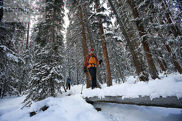 Young couple cross country skiing