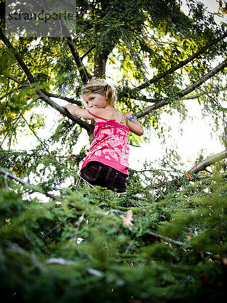 girl climbs tree