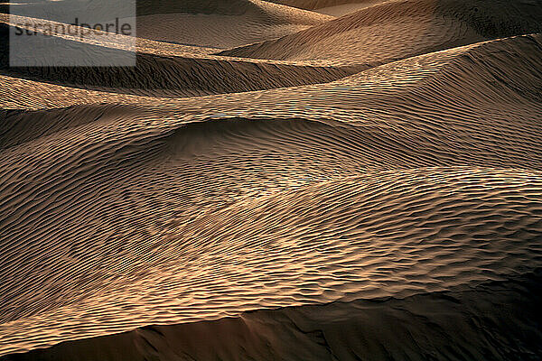 Yellow sand with ripple marks in a desert  Sahara  Southern Tunisia  Tunisia  Maghreb  North Africa  Africa