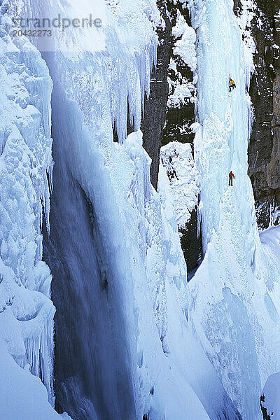 Ice Climbers assend a frozen waterfall in Colorado.