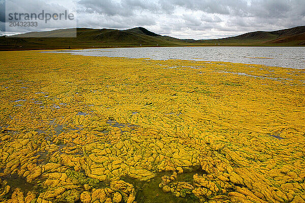 MoronMongoliaLake