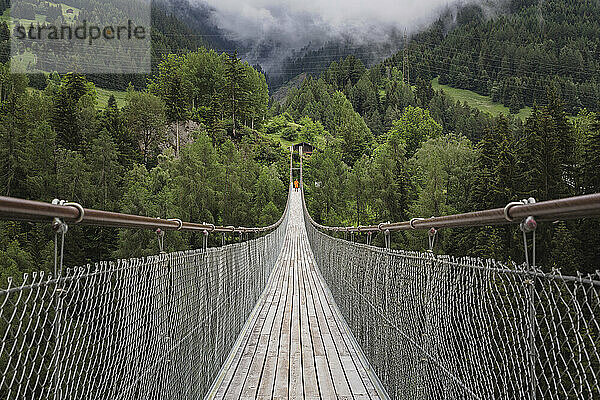 Person standing at end of footbridge  Aletsch  Vaud  Switzerland