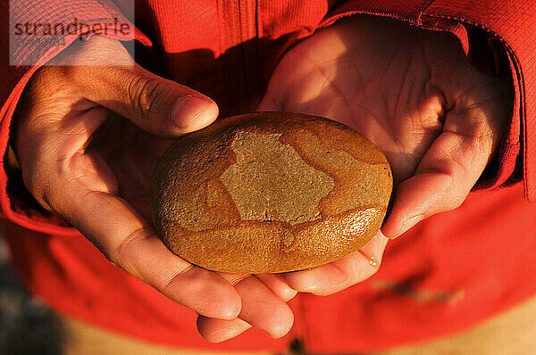 Closeup of a young woman's hands holding a sandstone beach cobble in New Zealand.