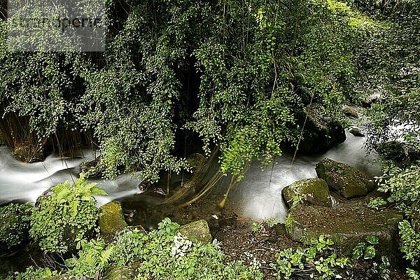 Rushing Stream  Gunnung Kawi  Tampaksiring  Bali  Indonesia