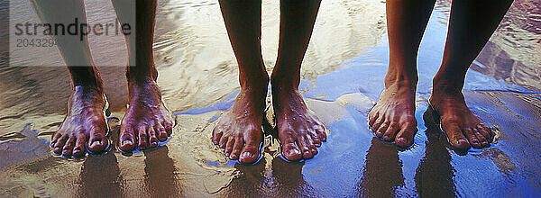 Closeup view of three sets of feet standing on the edge of the Colorado River in Grand Canyon National Park  Arizona.