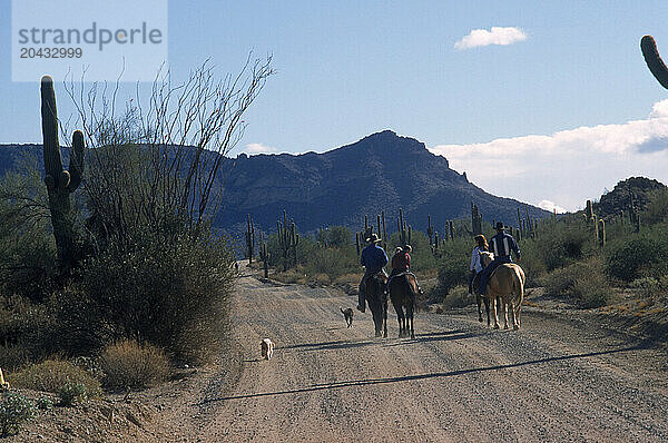 Southwest  Arizona  USA  horseback riding  desert  landscape