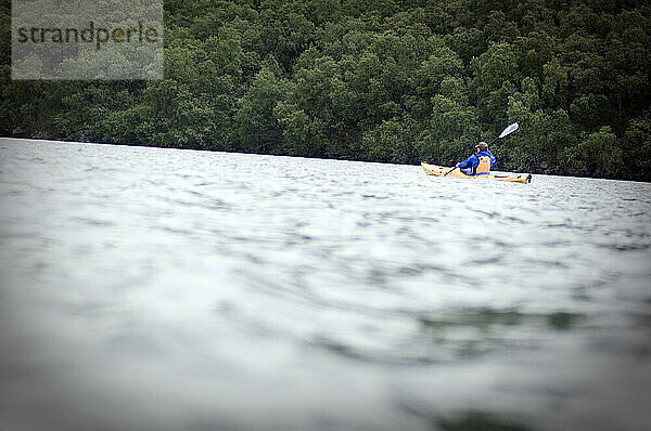 Kayaking the Savanoski Loop  Katmai National Park  Alaska