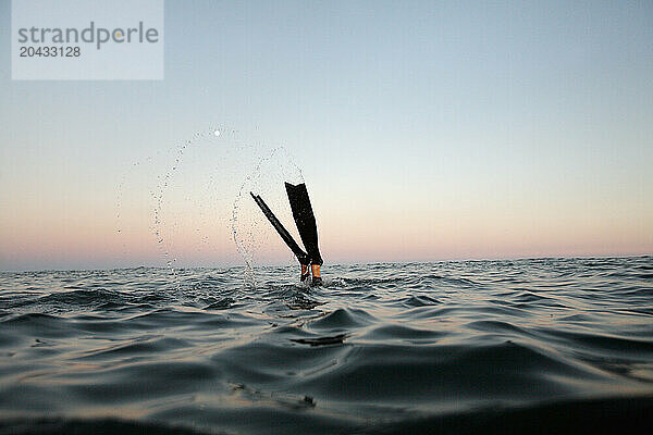 Freediving on the WIld Dayrell