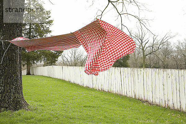 Tablecloth swaying in the wind on a country clothes line.